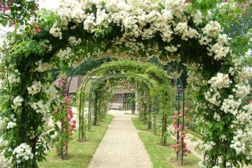 {take me away № 17 | the most beautiful rose gardens around the world}