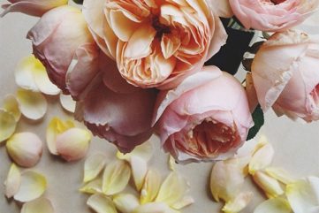 {a charming mix of things - let your imagination run wild}