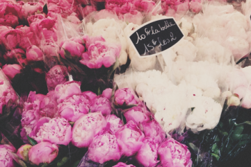 {travel inspiration | places : at the parisian flower markets}