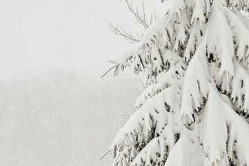 holiday | so kiss me on this cold december night