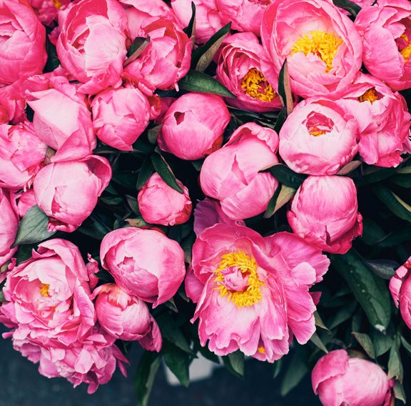 This Is Glamorous | Places : Columbia Road Flower Market, London