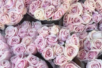 Notes from the Weekend & A Few Lovely Links