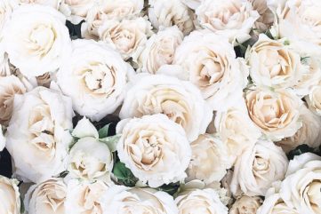 Around the Interwebs: Favourite Things No. 03