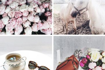 Notes from the Weekend & A Few Lovely Links 05.09.15