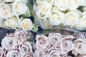 Notes from the Weekend & a Few Lovely Links 18.01.16