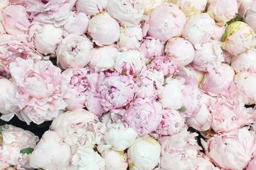 Playlist 06.03.16 : Five Songs for the Weekend