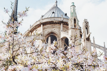 10 Images with Luc Lagasquie