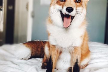 Current Events & Things of Note Vol. 01, No. 01