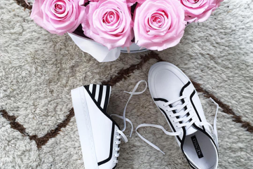 Notes from the Weekend & a Few Lovely Links 01.08.16