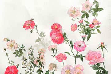 Five Things We Love this Week | Vol. 01 No. 04