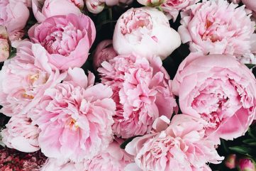 TIG tv | Vol. 01 No. 06: A Delicious Simple Brunch Recipe from Gordon Ramsey, Explore Korea’s Intriguing Beauty Industry, Tour London with the Locals & much more