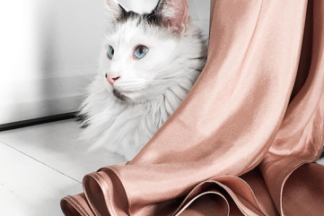 Notes from the Weekend & a Few Lovely Links 19.12.16