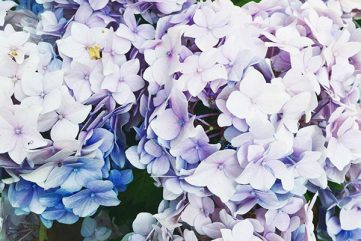 Notes from the Weekend & a Few Lovely Links 03.01.17