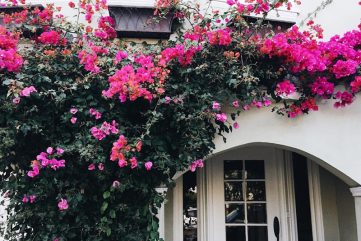 The World's 10 Most Expensive Cities to Live In