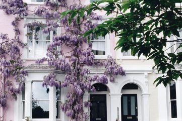 Around the World by Instagram Vol. 02, No. 02 - in 37 Breathtaking Images from the Amsterdam Canals to the Magnolia Blossoms in Paris