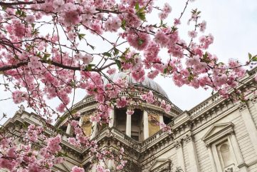 Notes from the Weekend & a Few Lovely Links