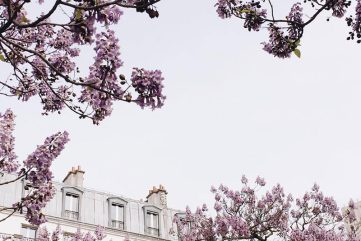 eekday Wanderlust | Paris with @applespoon