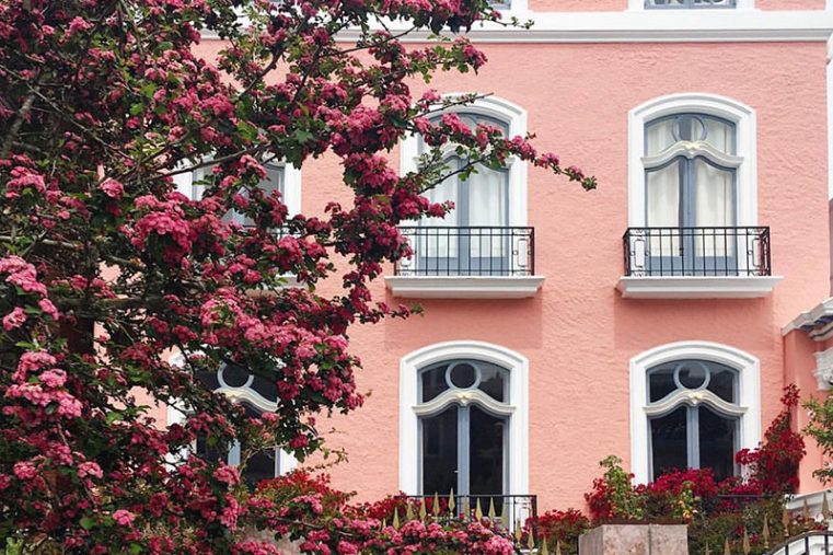 Weekday Wanderlust | Places: San Francisco with Sophia Goldberg (@sophia.gb)