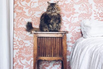 Playlist 05.10.17 : Five Songs for the Weekend