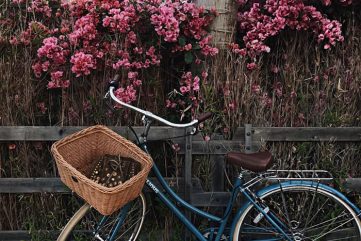 Playlist 21.10.17 : Five Songs for the Weekend