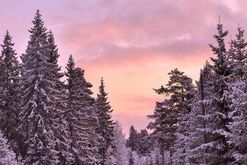 Playlist 28.10.17 : Five Songs for the Weekend