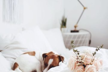 Notes from the Weekend & a Few Lovely Links 04.12.17