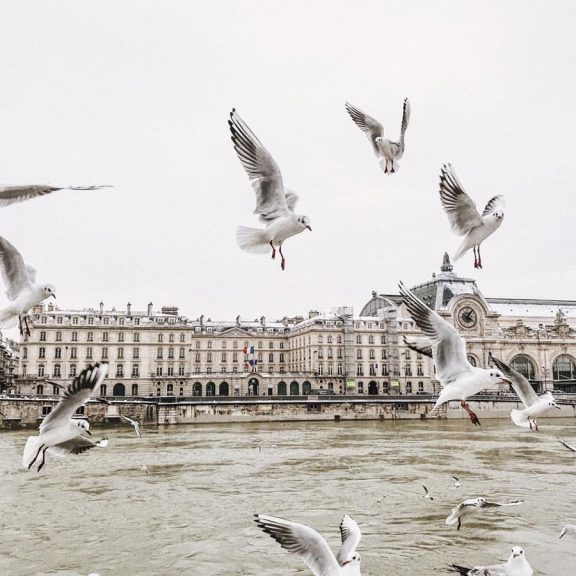 Weekday Wanderlust | From Instagram: Paris Sous La Neige / Paris in the Snow