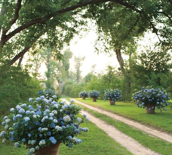 Shopping | The May Edit: Powder Blue & Wicker