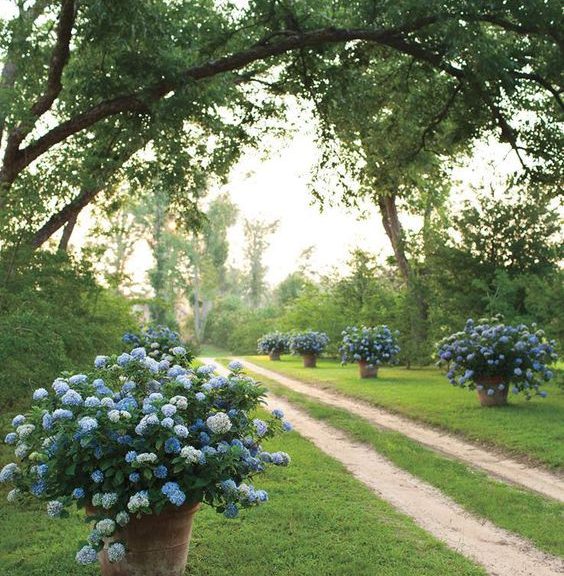 Shopping | The May Edit: Powder Blue & Wicker