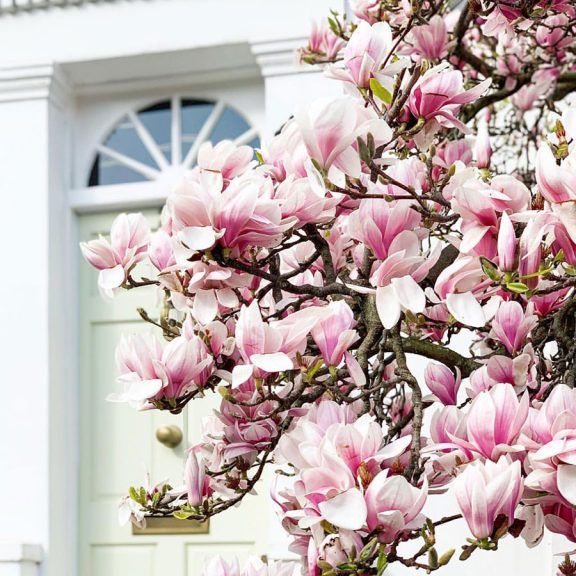 The Edit: Our Favourite Pieces in the Net-a-Porter Spring Sale