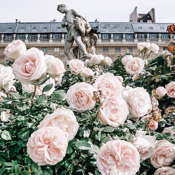 Weekend Edition | Shopping: A Few Things on our List for Summertime