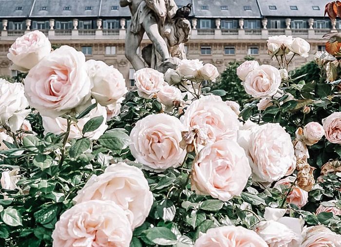 Weekend Edition | Shopping: A Few Things on our List for Summertime