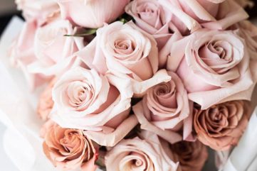 News 12.20.19 : Today’s Articles of Interest from Around the Internets
