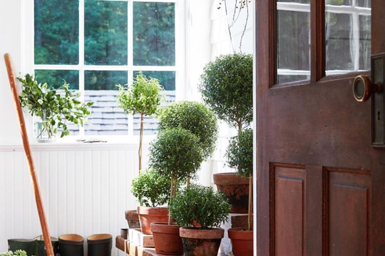 Spring Things - A Cleaner Clean