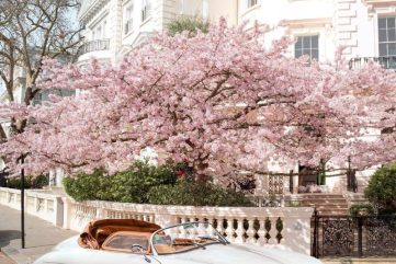 Notes from the Weekend & a Few Lovely Links 20.04.21