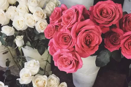 News 16.06.23: Five Essential Articles from Around the Web