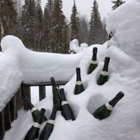 News 29.12.23: Five Essential Articles from Around the Web