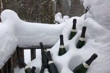 News 29.12.23: Five Essential Articles from Around the Web