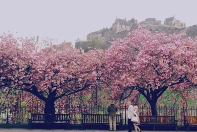 Postcards: A Spring Spell in Edinburgh, Scotland