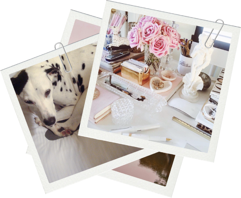 Discover TIG, an independent lifestyle media brand inspiring millions since 2007. Explore travel, interiors, design, culture, fashion, food, wellness, and meaningful living through original and curated content.