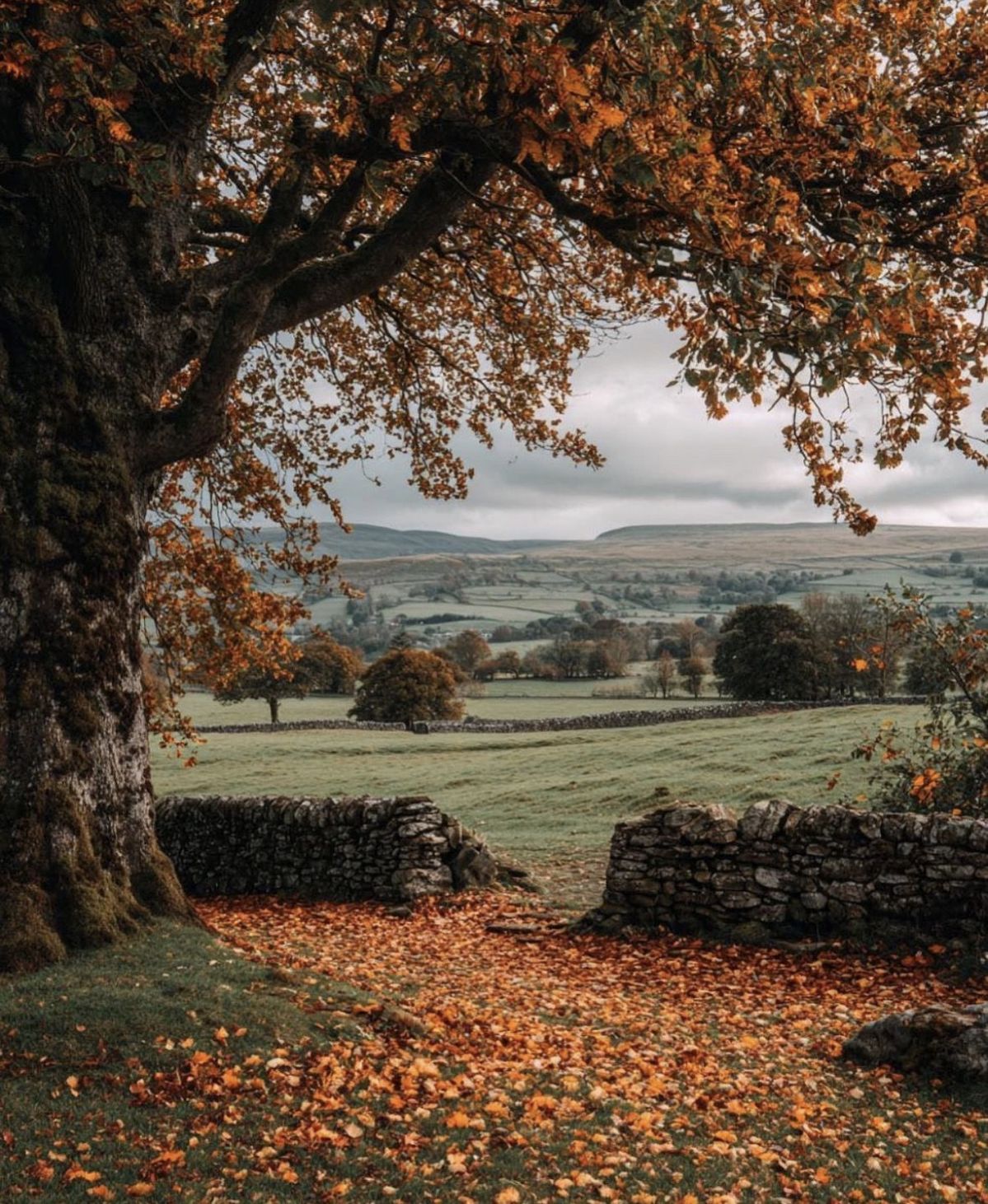 Style File: October Shopping List