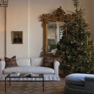 A Few Things We Loved this Week 12.11.25